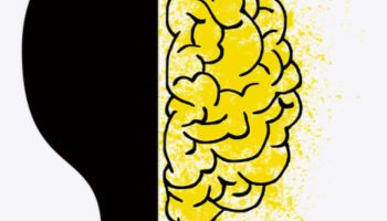 A Brief Examination of the Timid Teacher’s Echo Chamber of Motivated Reasoning